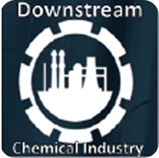 Logo DOWNSTREAM